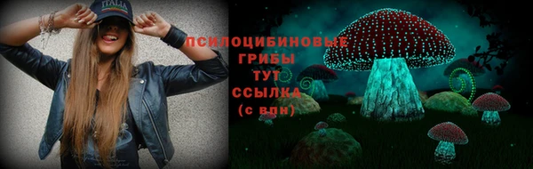 метамфетамин Заречный