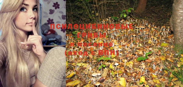 марки nbome Зуевка