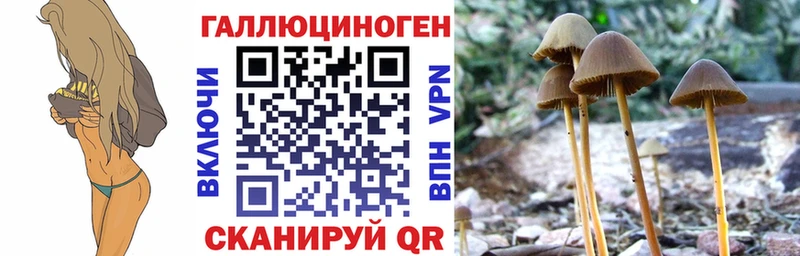 Псилоцибиновые грибы GOLDEN TEACHER Дубна