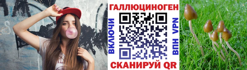 Псилоцибиновые грибы прущие грибы  Купить где  Дубна 