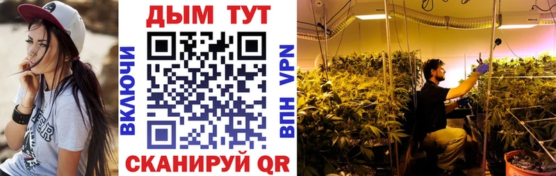 Купить где  Дубна  Шишки марихуана Bruce Banner 